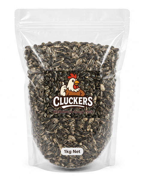 Cluckers Sunflower Seed 800g