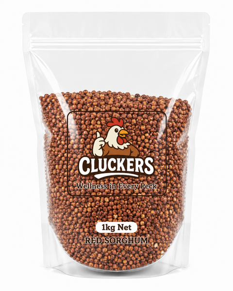 Cluckers Red Sorghum treat 1kg