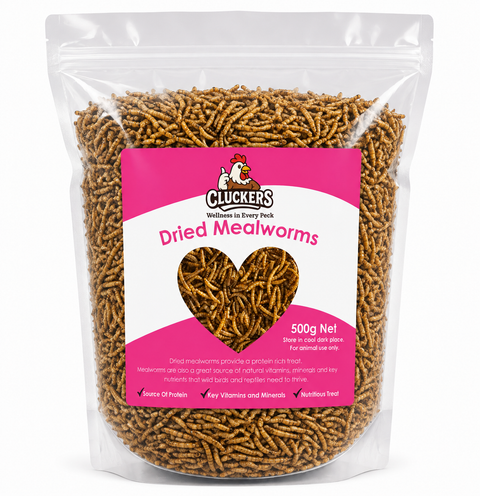Cluckers Dried Meal Worms - 500g