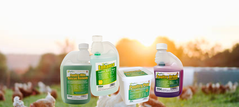 Boost your chook's health with Agrivite
