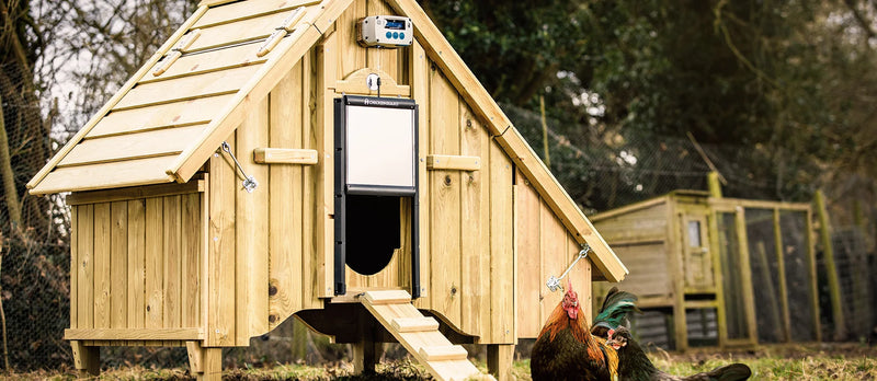 ChickenGuard Pro Coop Door Opener and Door Combo