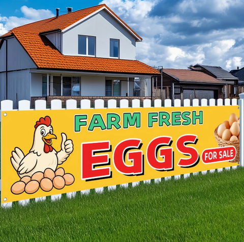 Fresh Egg Selling Banner