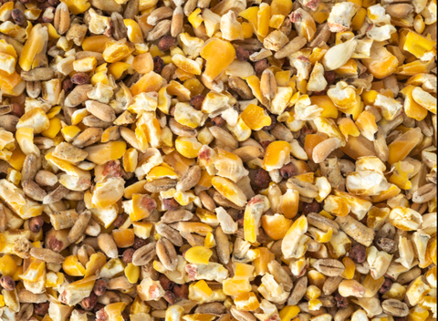 Dove Mix 10kg