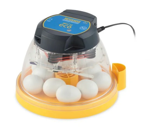 Brinsea Mini Eco Incubator + Semi Automatic Turning Kit Combo
