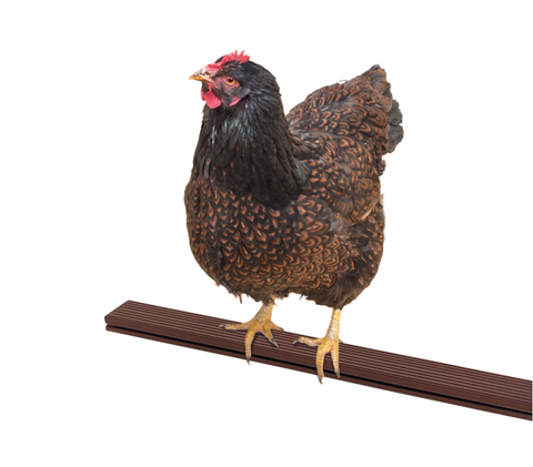 Poultry perch brown 100 cm – set of 2