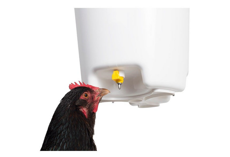 Drink-o-Matic  12L Poultry Hanging Bucket Drinker with Nipples