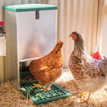 Feed-o-Matic Automatic Chicken Feeder 12kg – Chook Manor Ltd