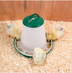 Chicks Feeder 1kg with Handle & Cover