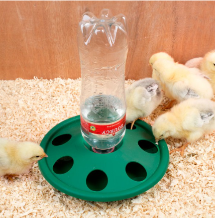 Chick Bottle Drinker 7 Hole