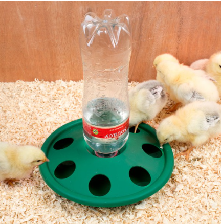 Chick Feeder 16 Hole + Bottle Drinker 7 Hole Combo