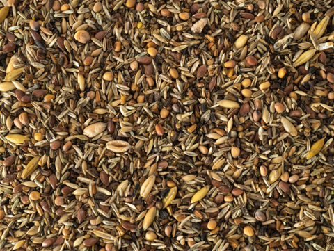 Topflite Wild Bird Seed Mix -  Fine 20kg