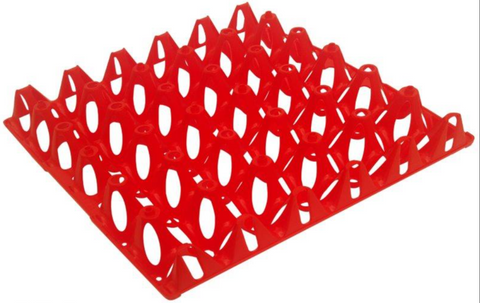 Plastic Egg Tray Single - Red