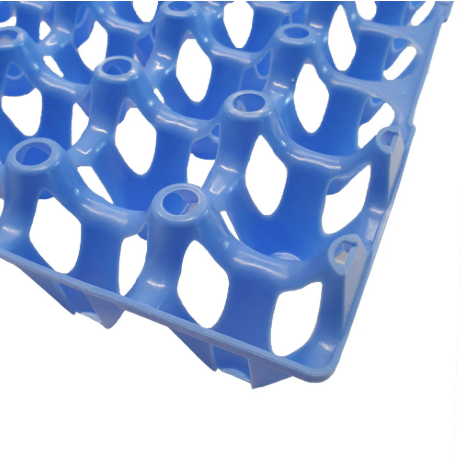 Plastic Egg Tray Single - Blue