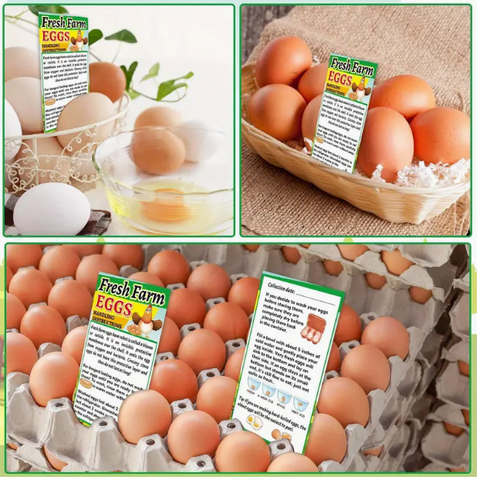 50pk Egg handling instructions for selling eggs