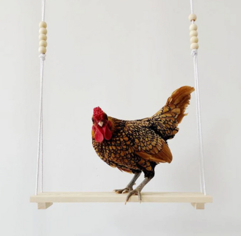 Chicken Coop Swing