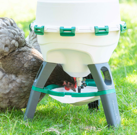 Optimus ultimate poultry drinker 25L