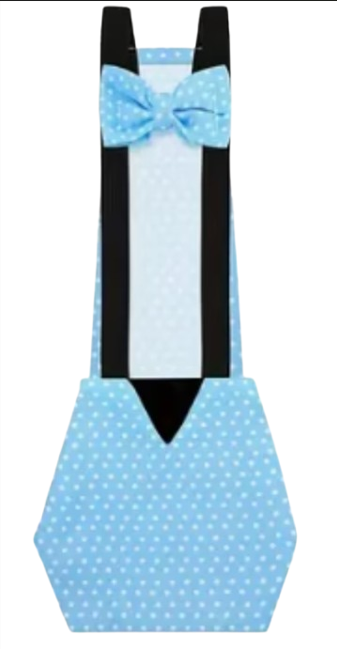 Chicken Diaper Blue Polka Dot