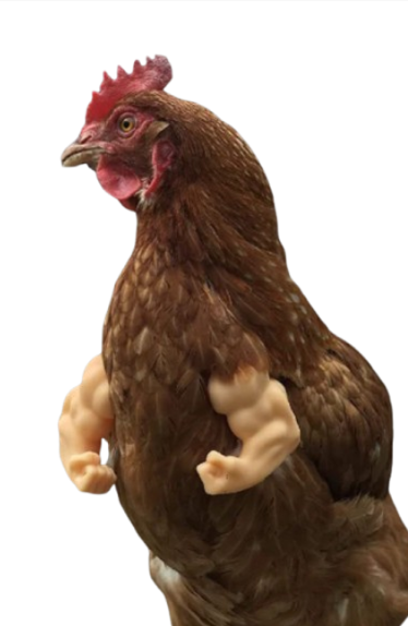 Chicken Arms Funny Muscles