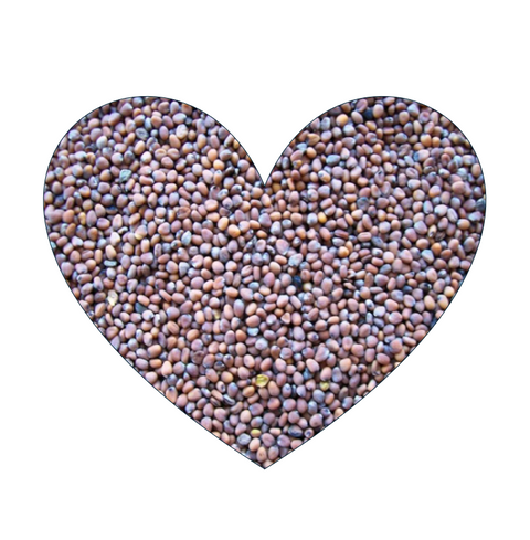 Radish seed 1kg (Pick 'N' mix Treat)