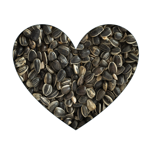 Sunflower Seed 1kg (Pick N Mix)