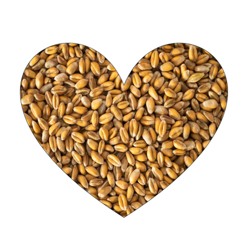 Topflite Wheat 1kg (Pick N Mix)