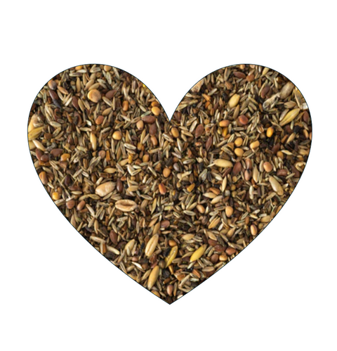 Topflite Wild Bird Seed Mix -  Fine 1kg (Pick N Mix)
