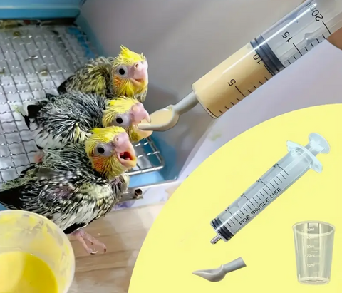 Bird Feeding Spoon Syringe 20ml 4 piece set