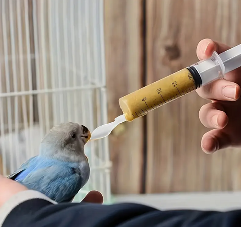 Bird Feeding Spoon Syringe 20ml 4 piece set