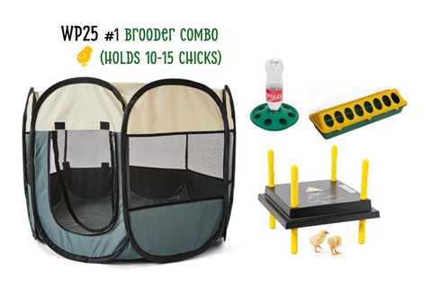 Chick Brooder Combo WP25 #1