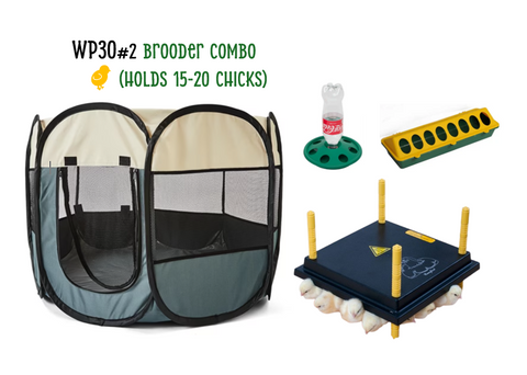 Chick Brooder combo WP30 #2