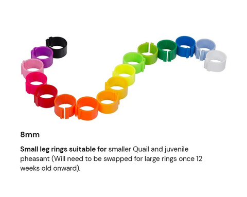 8mm Poultry Leg Rings 10 pack
