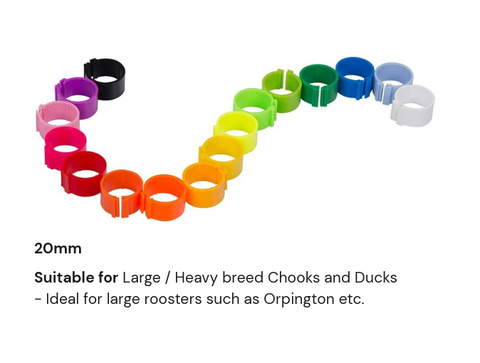 20mm Leg Rings 10 Pack