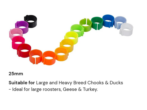 25mm Poultry Leg Rings 5 Pack