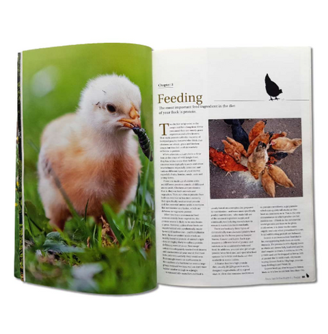 How To Care For Your Poultry / Volume 1