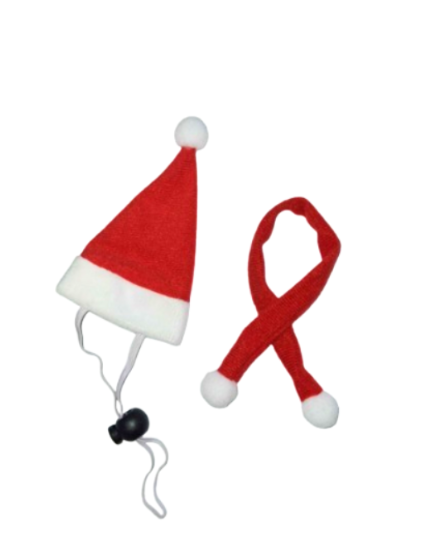 Christmas Chicken Costume