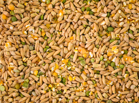 Lucky Duck (Duck food) 20kg