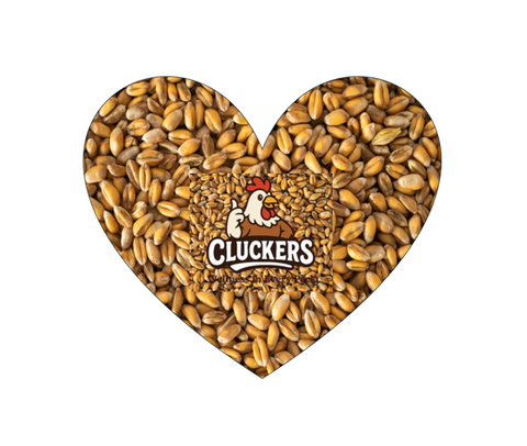Cluckers "Wheat" Treat 1kg