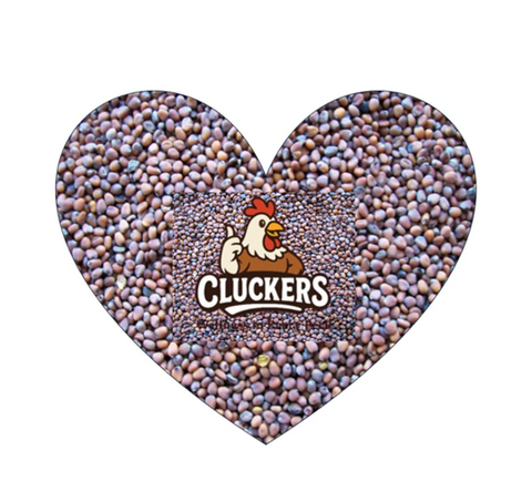 Cluckers "Radish seed Treat" 1kg