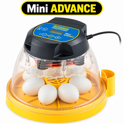 Brinsea Mini II Advance Incubator (semi Automatic)