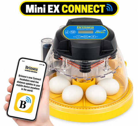Brinsea NEW Mini II EX Connect App Controlled Incubator (fully Automatic)
