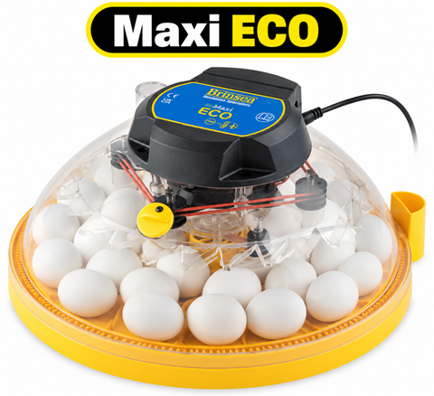 Brinsea Maxi II Eco Incubator