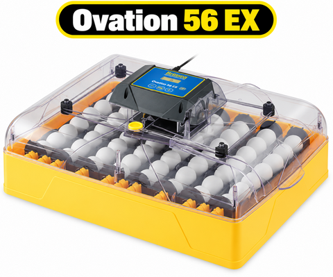 Brinsea Ovation 56 EX Incubator (Fully Automatic)