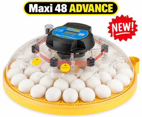 Brinsea NEW Maxi 48 Advance Incubator (semi automatic)