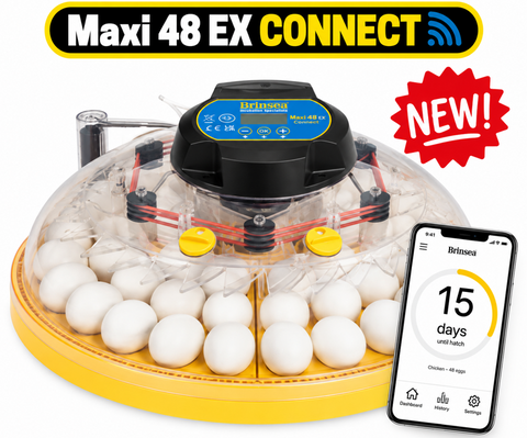 Brinsea  NEW Maxi 48 EX Connect Incubator (Fully Automatic)