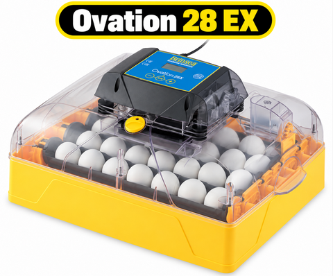 Brinsea Ovation 28 EX Incubator (Fully Automatic)