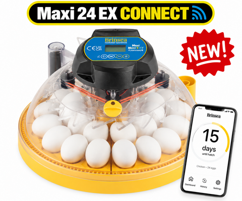 Brinsea Maxi 24 EX Connect App Controlled Incubator (Fully Automatic)
