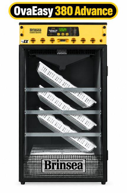 Brinsea OvaEasy 380 Advance Series II Incubator (semi Automatic)