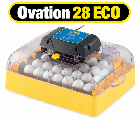 Brinsea Ovation 28 Eco Incubator (semi Automatic)