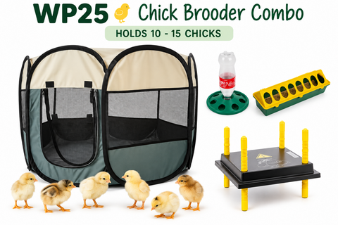 Chick Brooder Combo WP25 #1