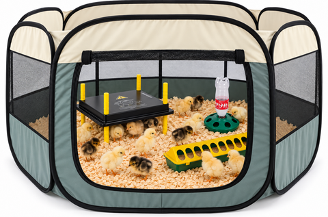 Chick Brooder combo  WP50 #3